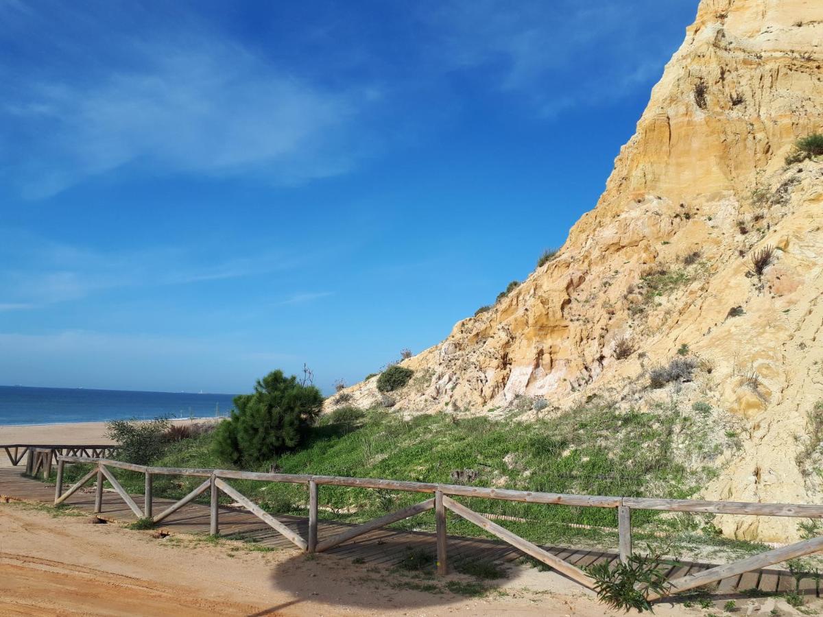 Cortijo Los Conquistadores Lucena Del Puerto 외부 사진